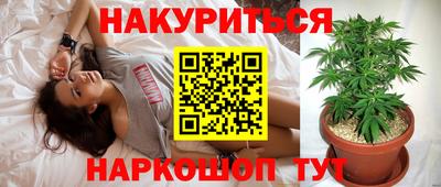 дживик Владивосток