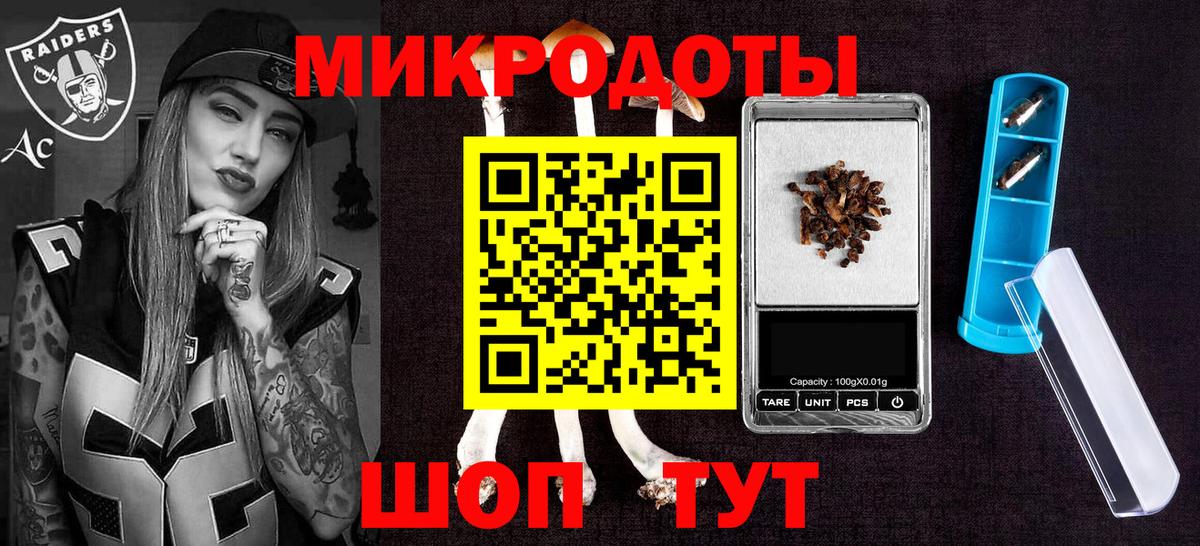 Галлюциногенные грибы GOLDEN TEACHER  Вход с VPN  Галлюциногенные грибы Psilocybine cubensis  как найти закладки  Курчалой 
