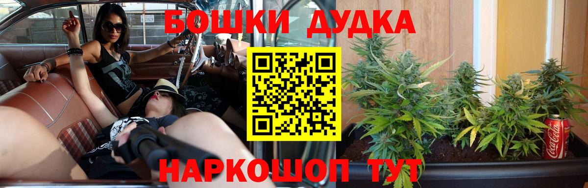 Бошки Шишки планчик  Бошки Шишки сатива  Вход с VPN  Курчалой  Каннабис SATIVA & INDICA 